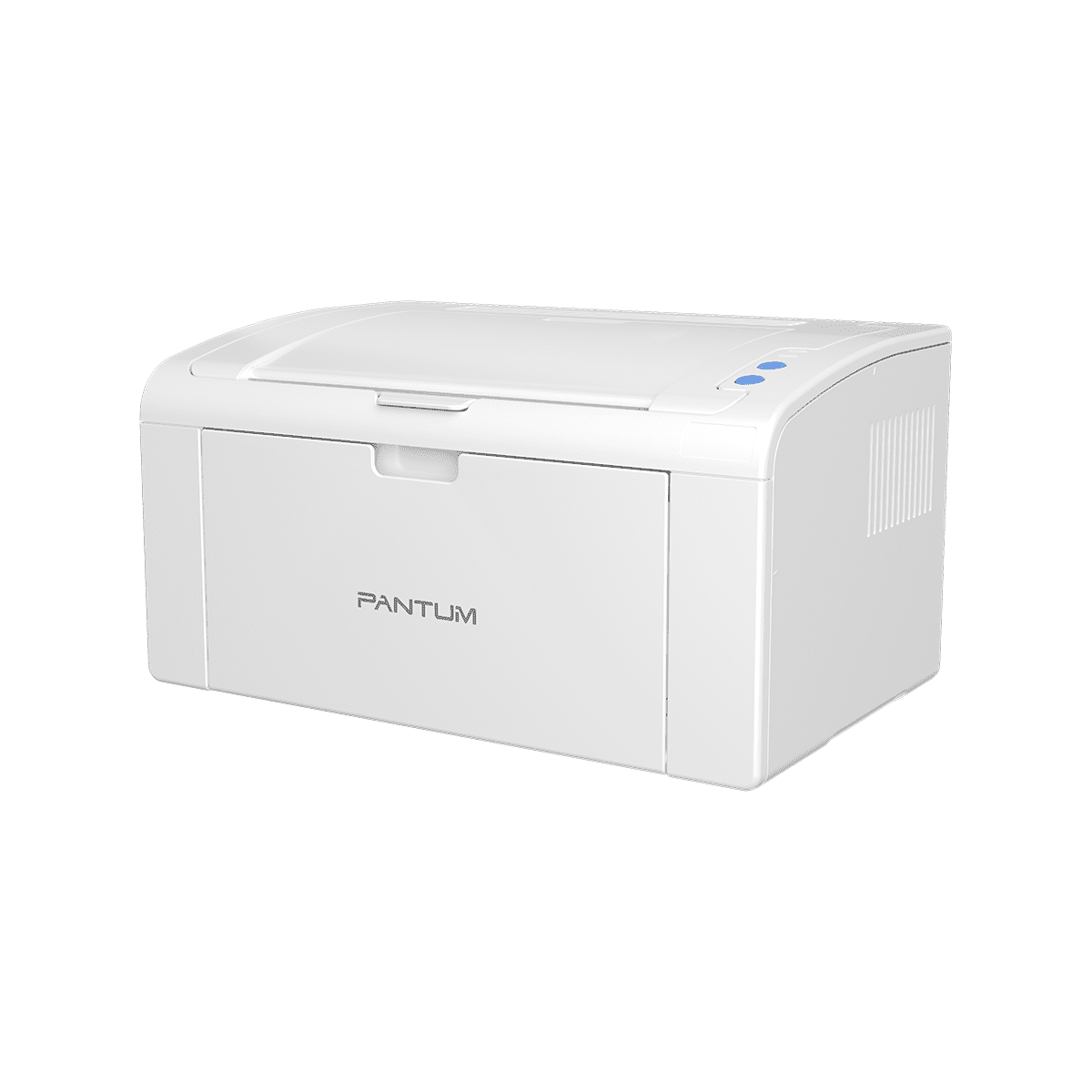 Pantum P2509 Printer